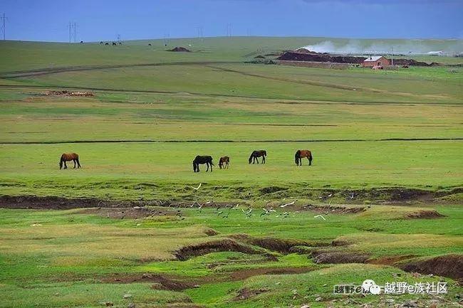 无法忘记的第一次草原之旅,一生必去一次的草原