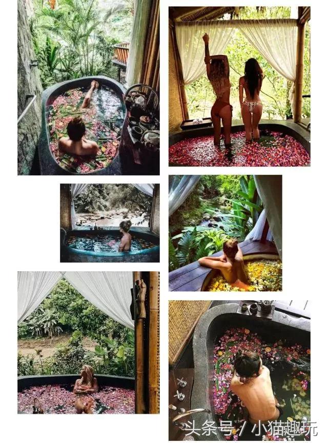 半山旅游酒店,半山温泉酒店预订