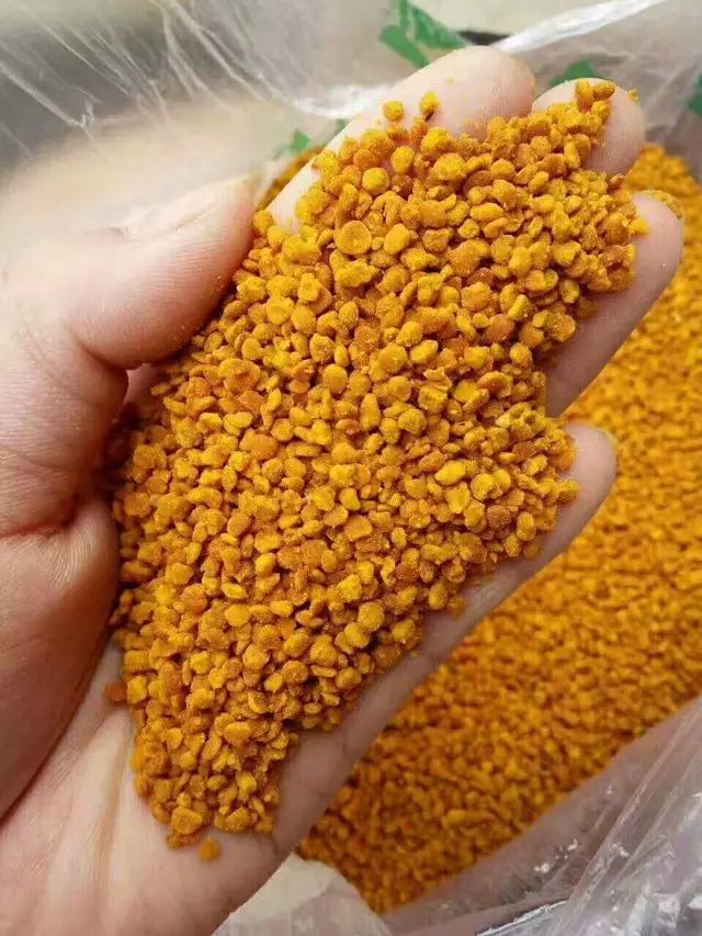 如何喂花粉给蜜蜂,没有花粉用什么代替花粉喂蜜蜂呢