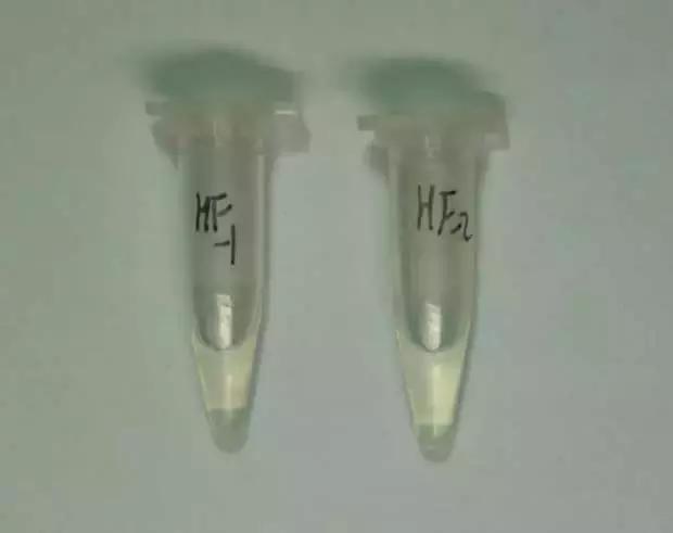 认识毒品远离毒品珍爱生命,认识危险化学品