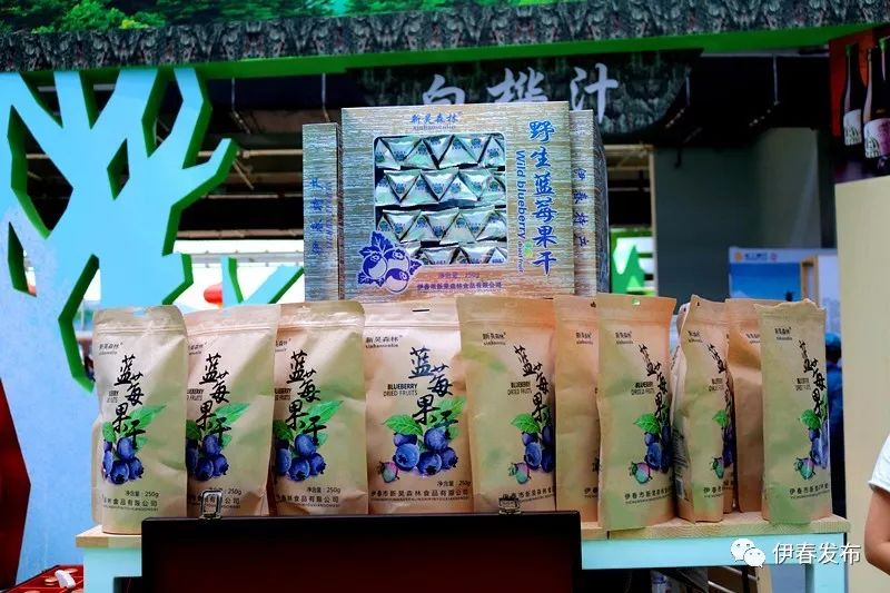 聚焦｜七月“森博”热林城