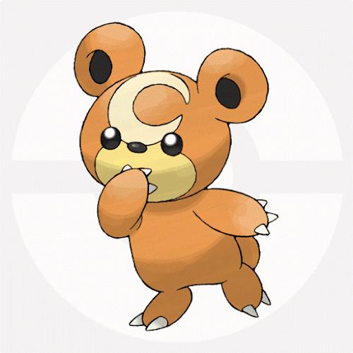 都有哪些宠物小精灵,十大最火的宠物小精灵