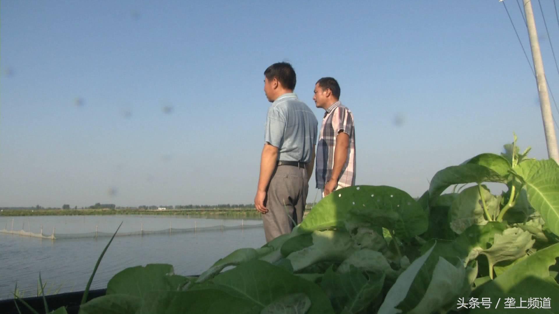 300斤小龙虾卖2小时卖完,爽吃5斤麻辣小龙虾