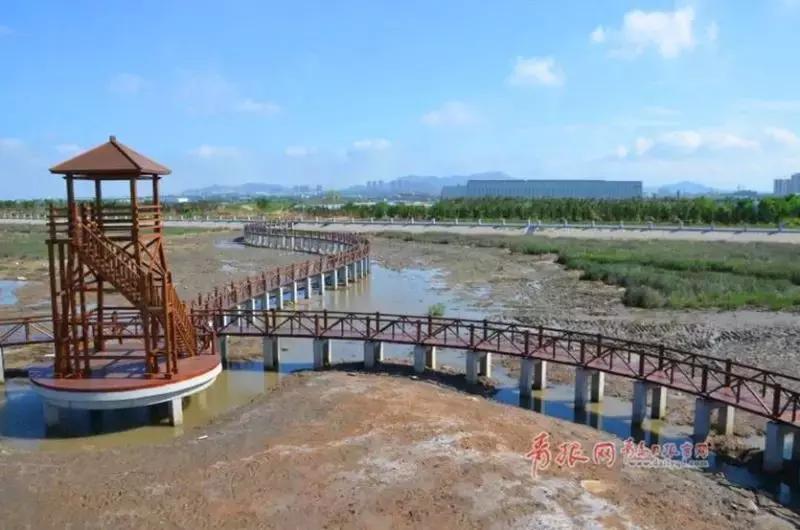 七夕节青岛啤酒活动,七夕啤酒节