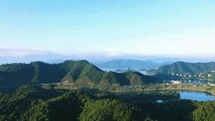 40岁大叔买下一座岛,大叔为钓鱼买下一座岛