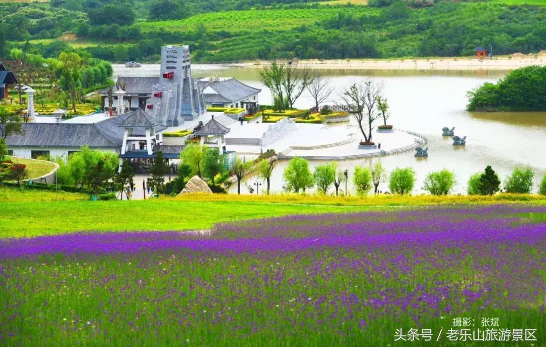 又双叒叕来搞事，解锁“网红”打卡新姿势，老乐山网红走廊等你来