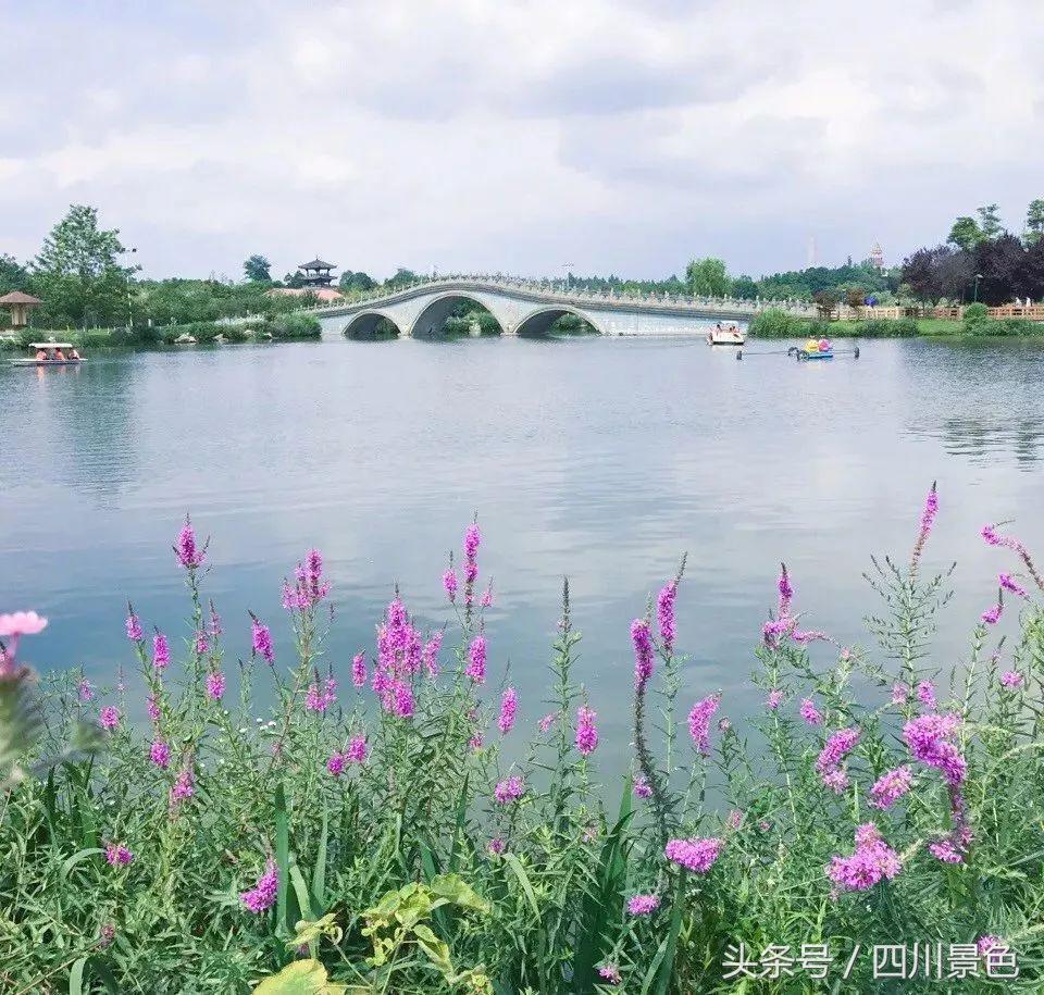 小众又免费！成都地铁直达的天然氧吧！清凉洗肺又解暑！