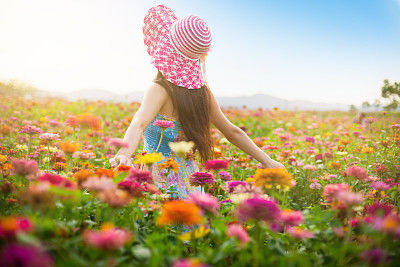 生肖猪性格大解析,生肖猪的性格优缺点