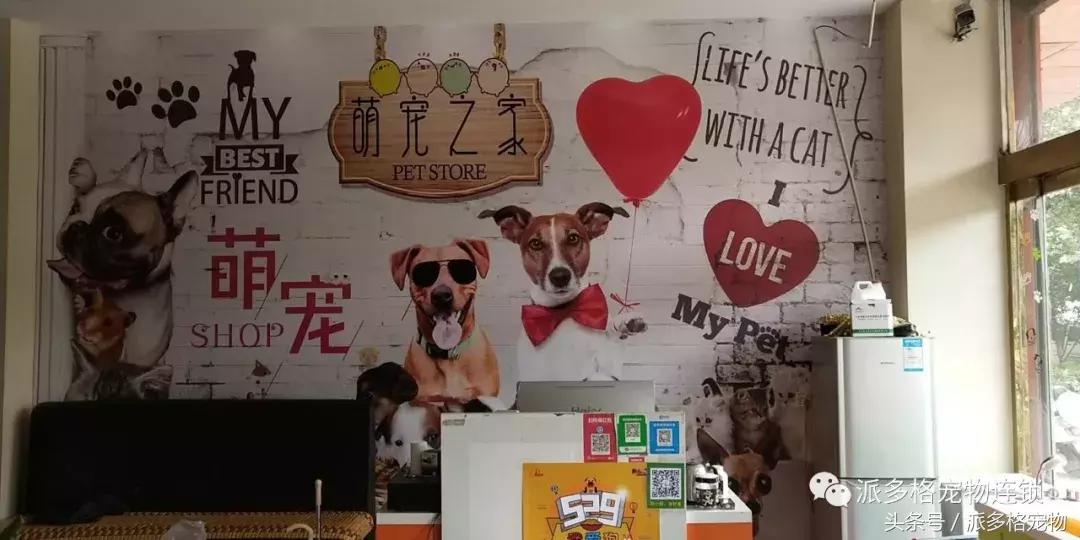 派多格宠物店服务态度,派多格宠物店注意事项