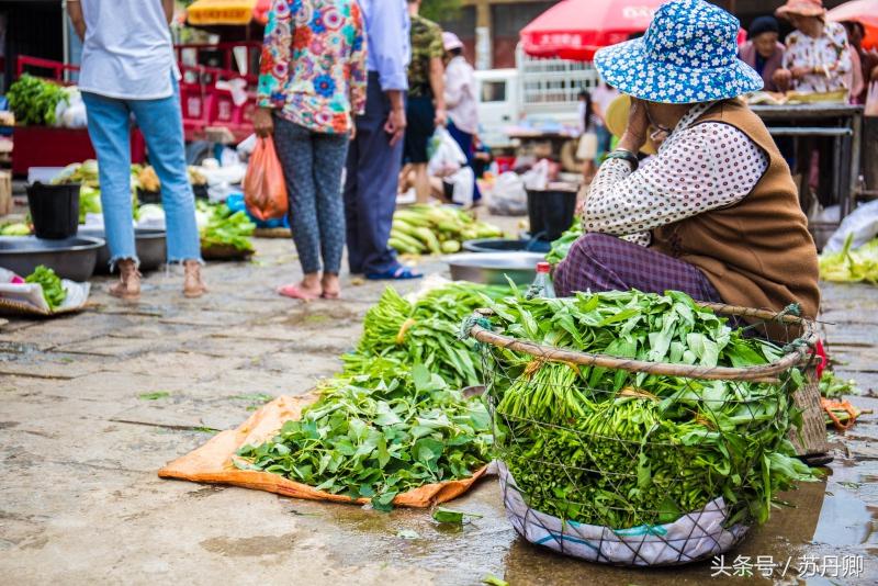 洱海治理周边民宿污染,洱海治污计划腾退部分客栈