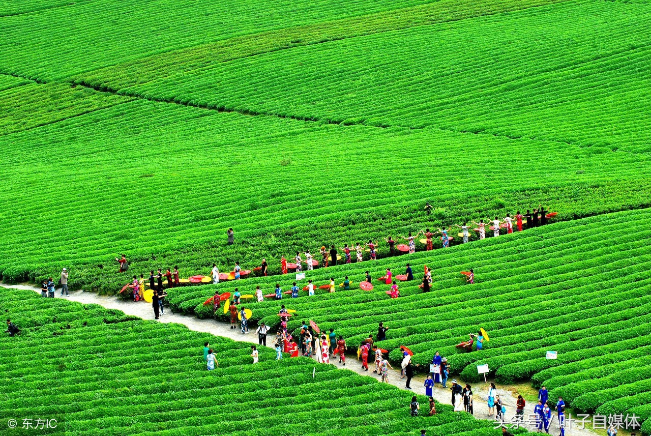 除了北上广深以外比较发达的城市,除了北上广哪个城市适合发展