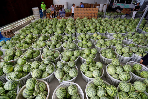 大兴“8424”充斥市场怎么办?点点手机就可以买到官方认证的