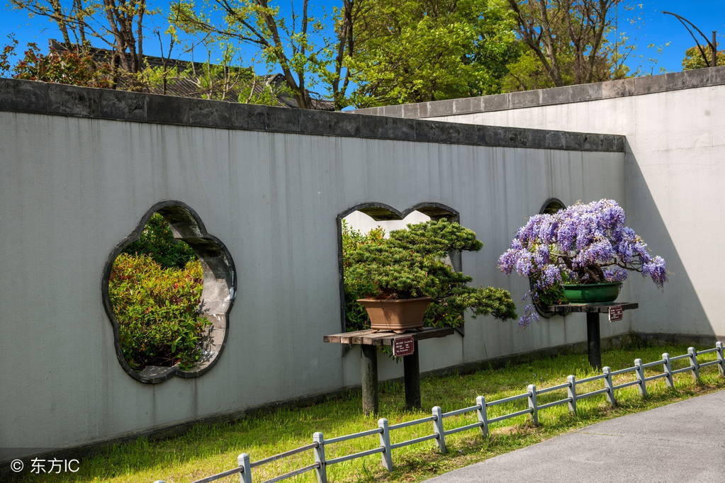 绝美优雅的盆景欣赏（太漂亮了，快分享给朋友吧！）