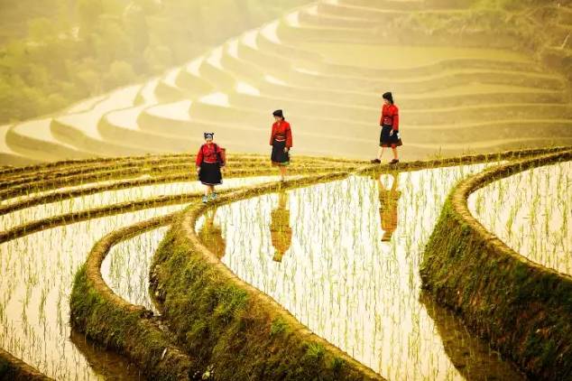 这才是桂林该有的样子,这才是广西最美的美景