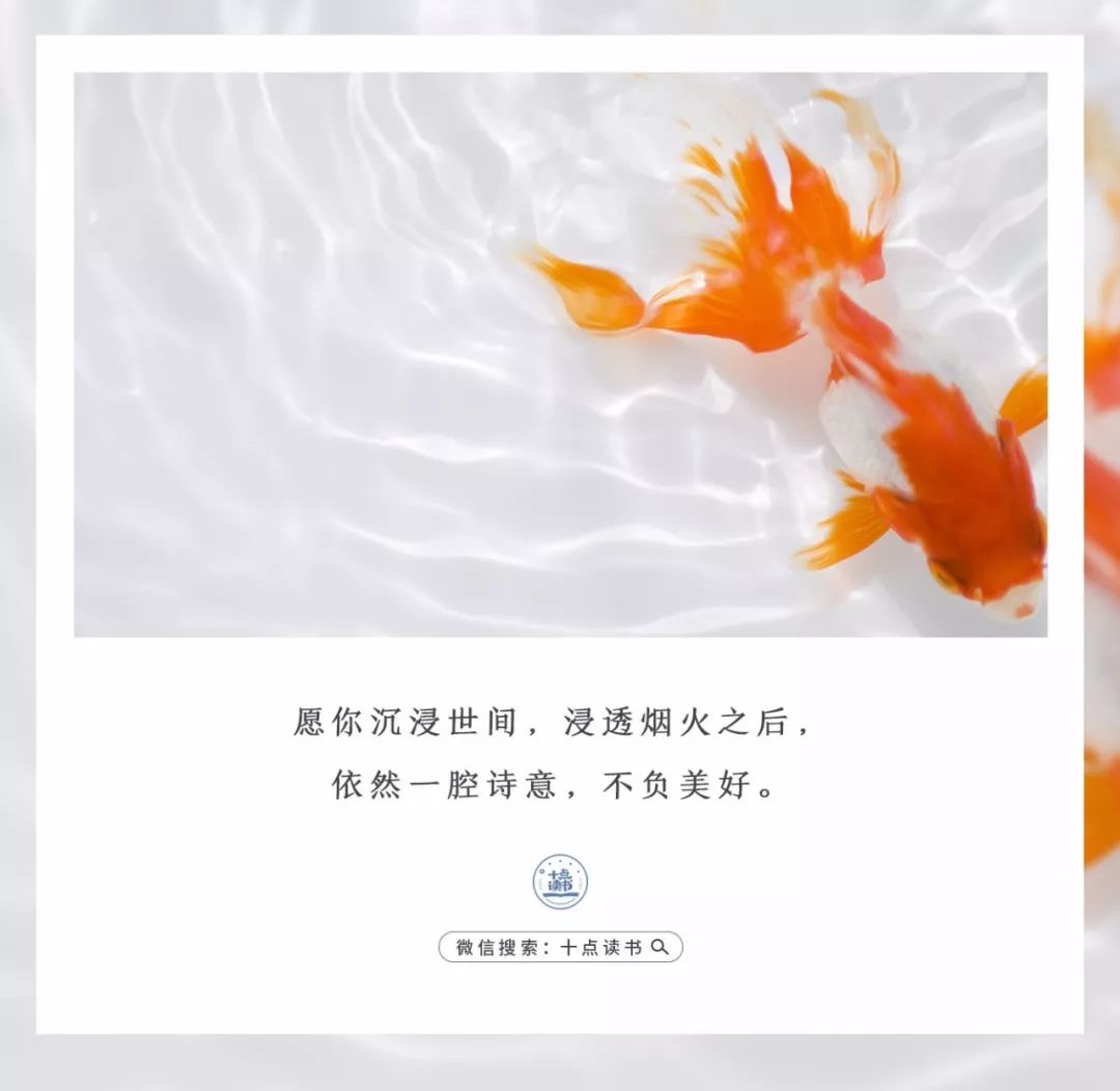 985大学学霸演讲震撼全场,985教授演讲