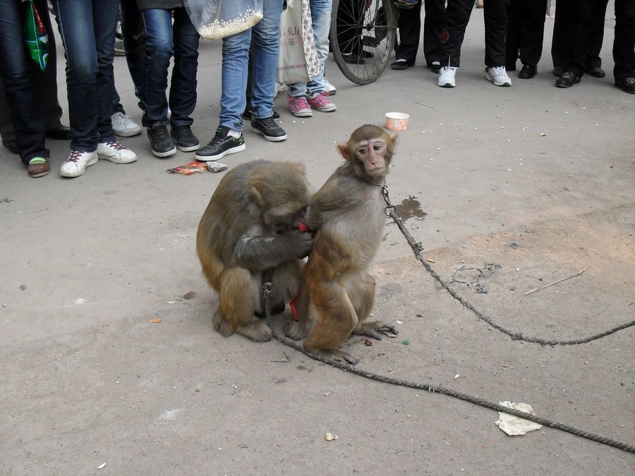 荣耀v9和荣耀10对比,荣耀10和荣耀v9