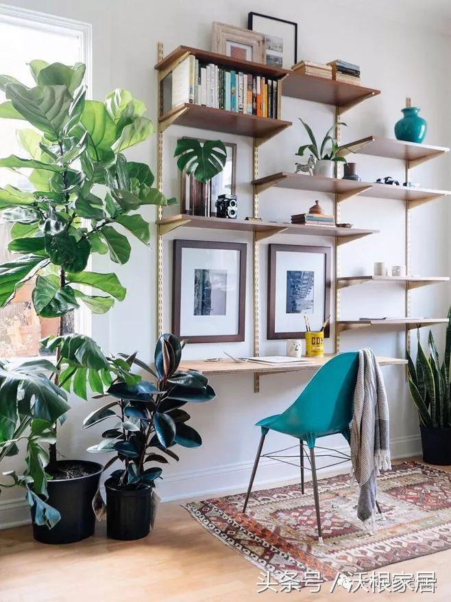 一天一个软装小技巧,屋里什么软装让人心情舒适