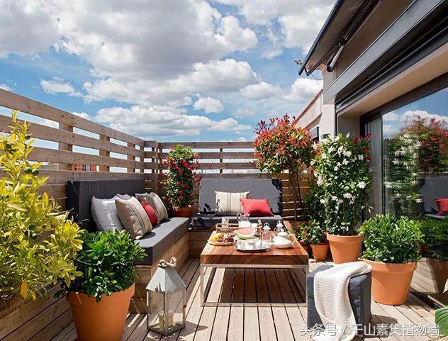 她用三年时间打造了一片露台花海,露台打造花海