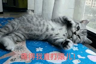 大姨妈来巨痛,妇科专家谈痛经