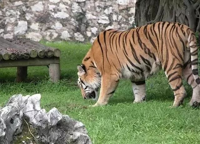 孩子们放暑假出门旅游攻略,暑假旅游攻略去哪儿玩