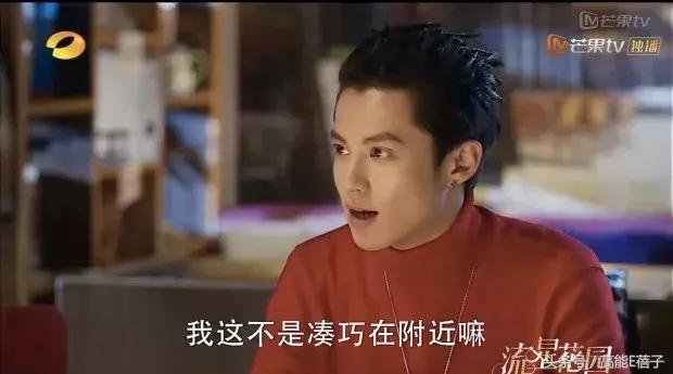 鹿哥鹿嫂最新消息,鹿哥鹿嫂离婚原因