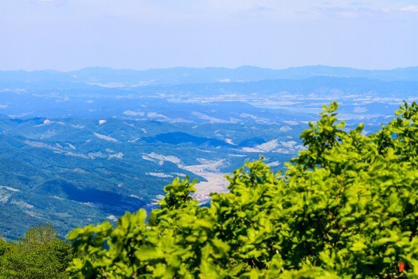 涓囧瓧鏀荤暐,涓囧瓧瑙ｆ瀽鏀荤暐