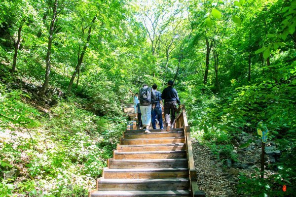 涓囧瓧鏀荤暐,涓囧瓧瑙ｆ瀽鏀荤暐