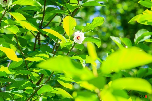 抚顺深度游攻略游记,抚顺旅游攻略自由行