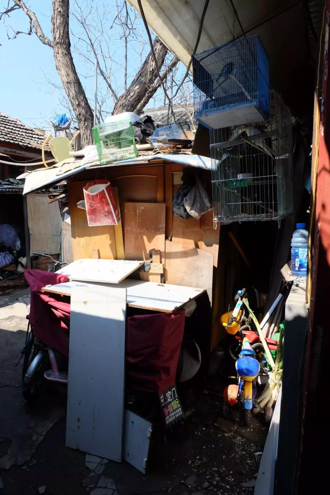 青山周平梦想改造家四合院回访,青山周平改造6平米四合院