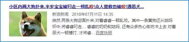 被狗咬住不放要学会这样自救救人,被狗咬住不松了怎么办