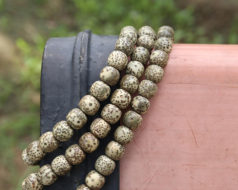 星月菩提的盘玩方法速成,新入手的星月菩提正确的盘玩步骤