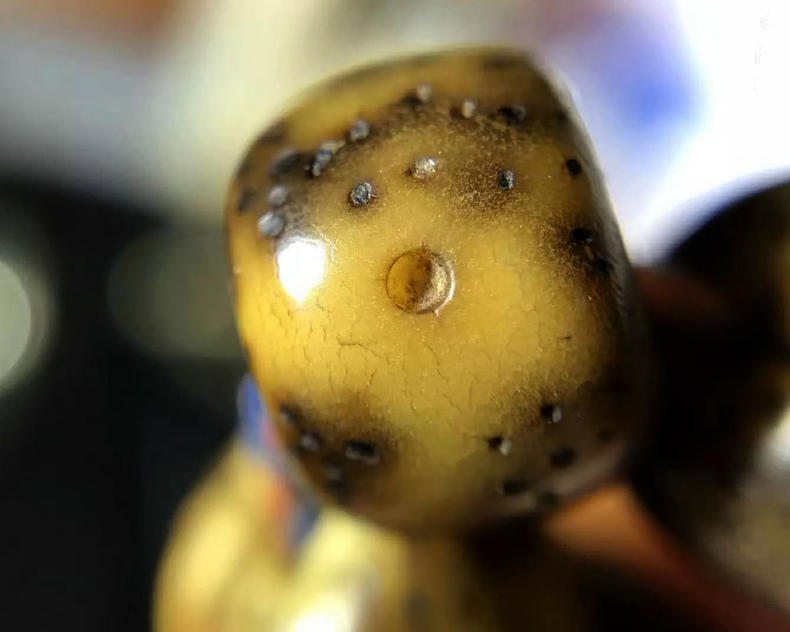 盘玩菩提星月应该注意啥,星月菩提的盘玩方法和讲究