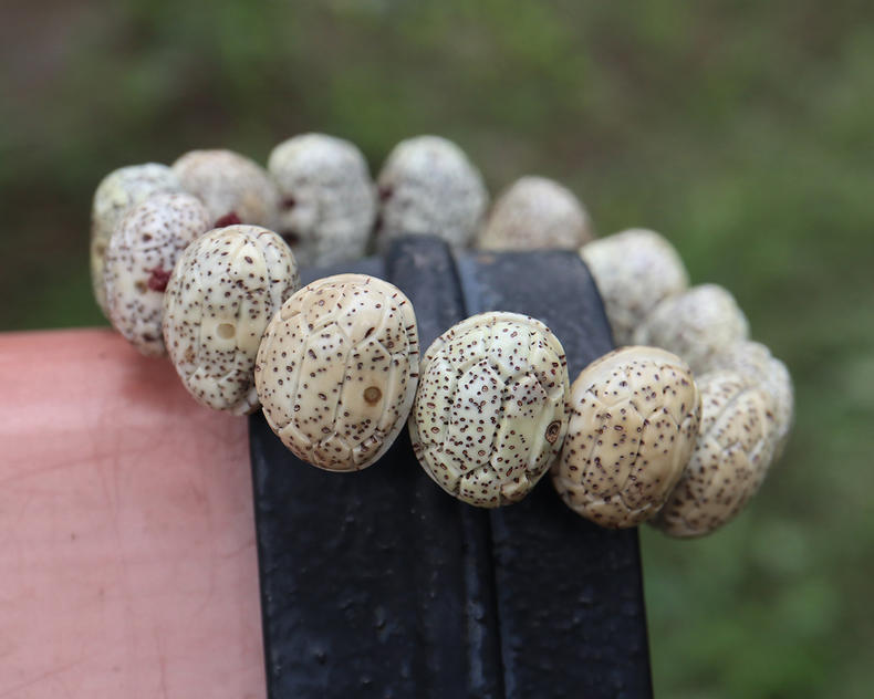 盘玩菩提星月应该注意啥,星月菩提的盘玩方法和讲究