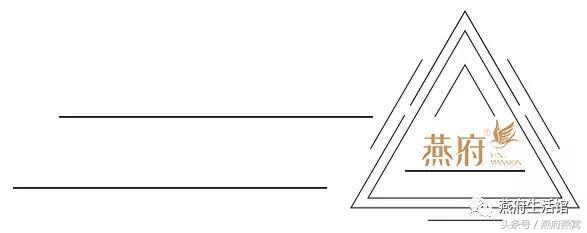 好燕窝是什么做的,好燕窝炖出来什么效果