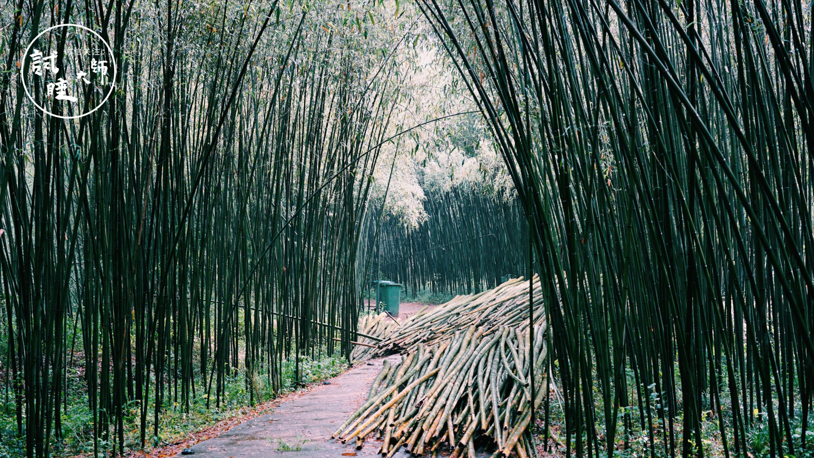 青春旅社王源选秋老师,青春旅社王源莫干山