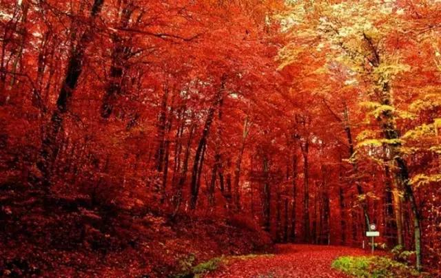 中国红大气豪迈热情洒脱,中国红霸气文案