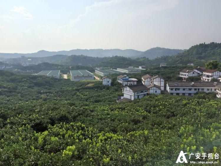 东西协作脱贫工作,东西手拉手共同奔小康