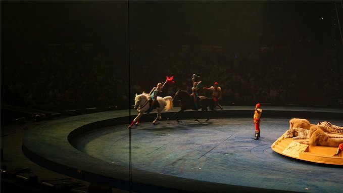 带小孩去长隆欢乐世界畅玩一天,暑假带娃去广州长隆野生动物世界