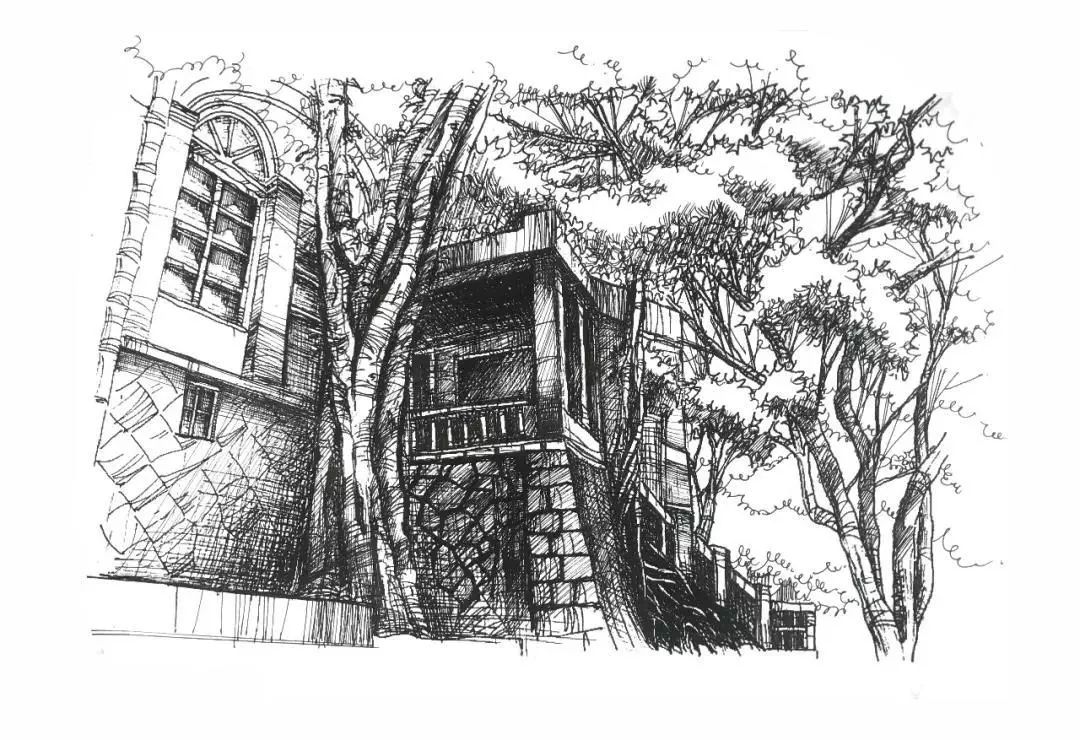 画笔下的舟山美景,画笔下的风景