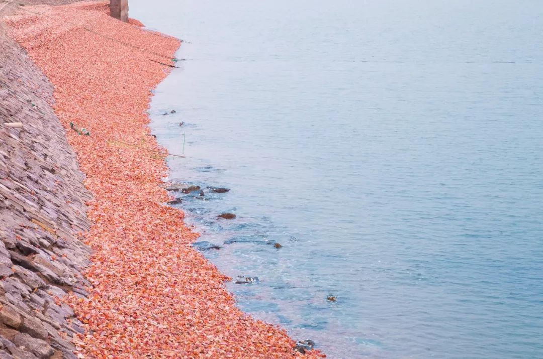 崆峒岛夏天适合去玩吗,崆峒岛自然海岛