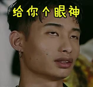 为救选票绿营官员“人仗猫势”遭轰：为私欲不在乎伤害*进党民**