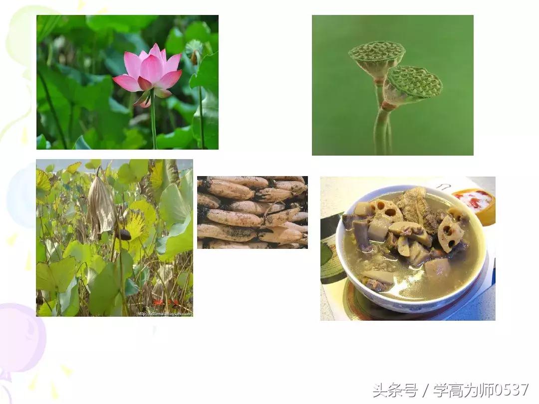 我最喜欢的一件物品五年级作文,五年级上册介绍一件物品作文