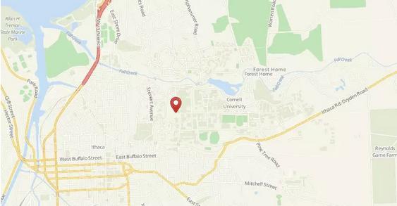 纽约州有哪些好大学,纽约州最好的15所大学