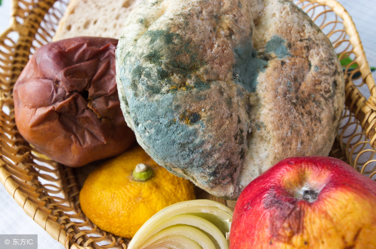发霉食物危害肾脏,发霉食物里的致癌物质