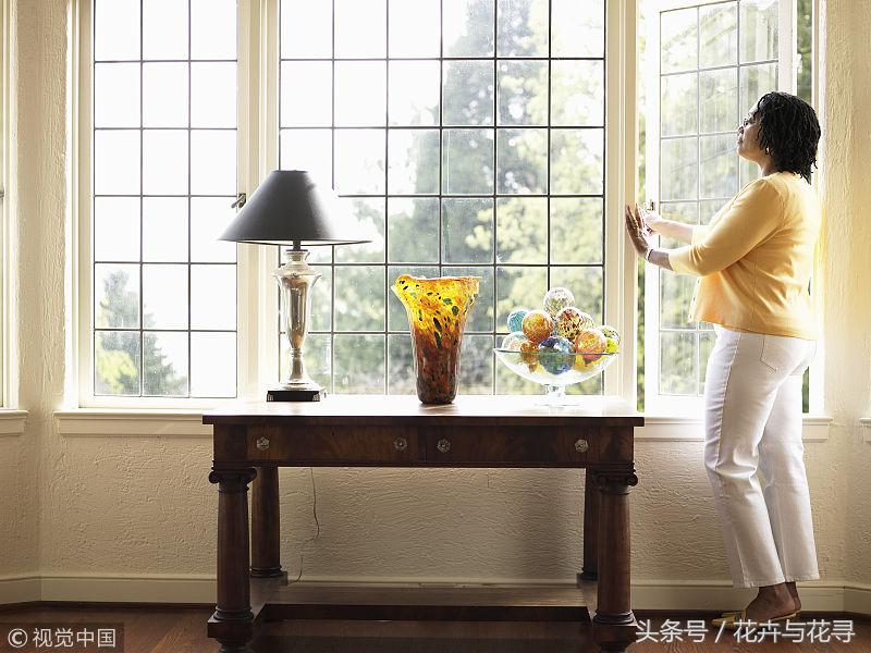 通风的环境对月季有什么好处,家里养花怎么才能做到通风好