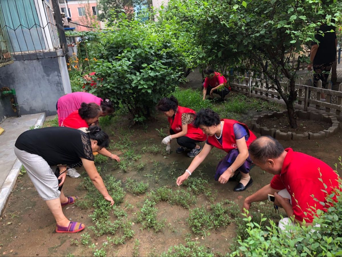 “1728”一起爱吧志愿服务队点亮沈城风景线