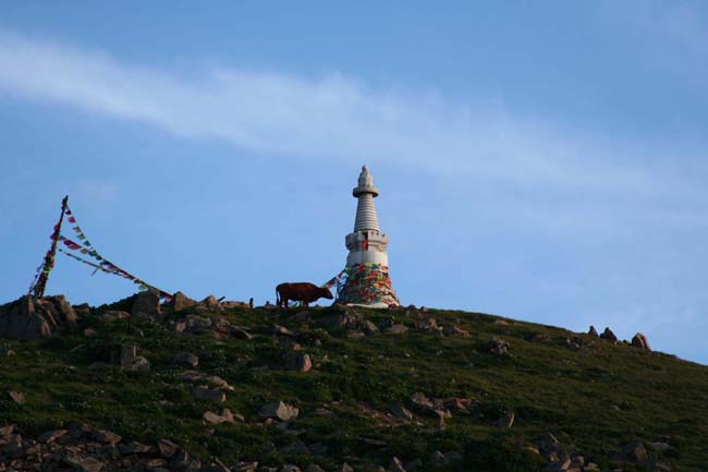 忻州五台山又见五台山景点介绍,五台山景区旅游攻略自由行