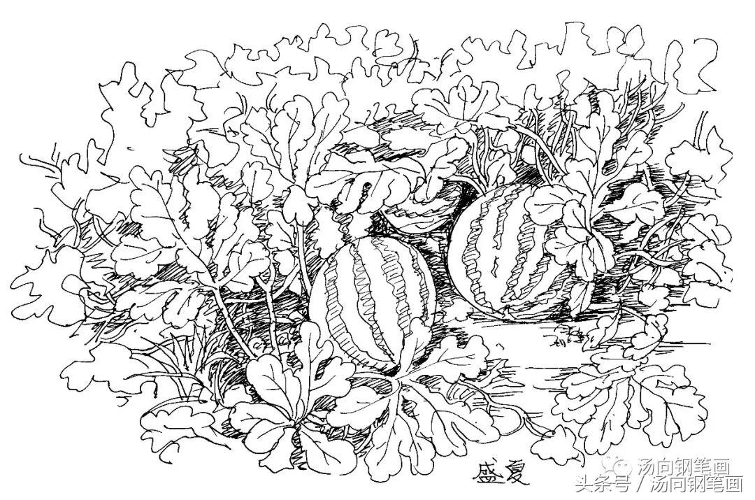 初学画速写需要什么材料,素描速写本适合画什么