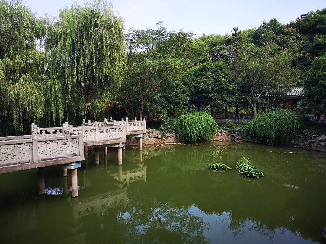 「休闲」旧貌换新颜，望春园完成改造重新开园！