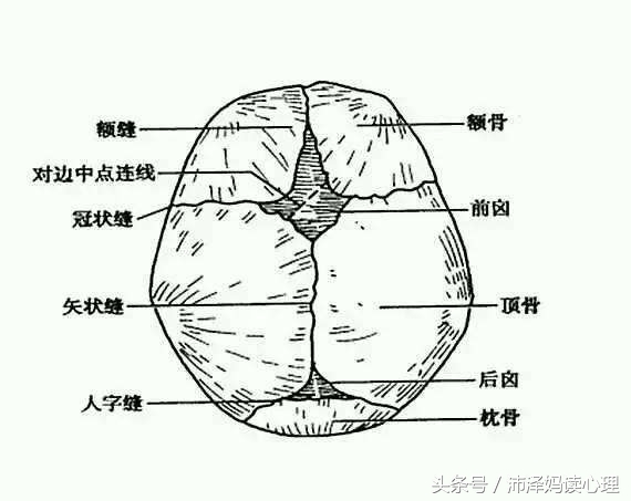 新生儿100天要长牙了,宝宝嗓子长牙了怎么处理